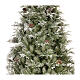 Árbol de Navidad 210 cm piñas poly Frosted Mountain Spruce s2