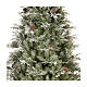 Albero di Natale 225 cm poly Frosted Mountain Spruce s2