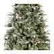 Weihnachtsbaum mit Tannenzapfen Frosted Mountain Spruce, 240 cm s2