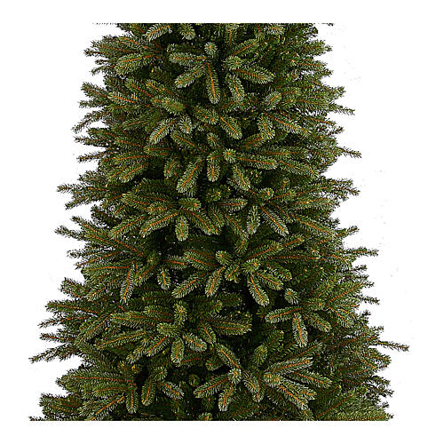 Weihnachtsbaum Jersey Fraser Fir Pencil, 225 cm 2