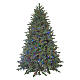 Sapin de Noël 225 cm LEDs poly Princeton Fraser Fir Prelit s1