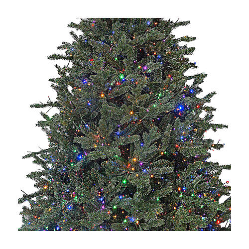 Albero di Natale 225 cm led poly Princeton Fraser Fir Prelit 2