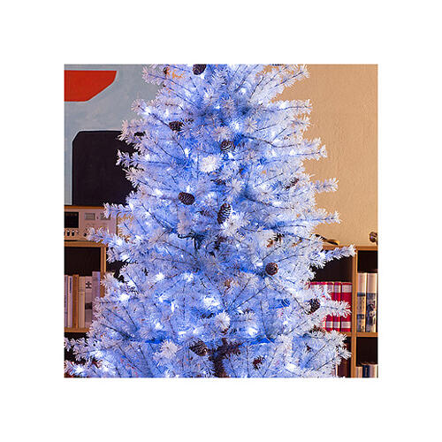 STOCK Abete Victorian Blue Floccato Natale 270 cm 600 Led bianco freddo 2