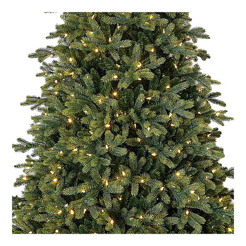 Green Christmas tree 225 cm Poly Cumberland 2