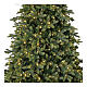 Green Christmas tree 225 cm Poly Cumberland s2