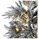 Flocked Snowy Nordman Christmas tree, 180 cm, green PVC, 250 LED lights s3