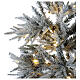 Weihnachtsbaum grün geflockt Snowy Nordman 450 LEDs, 210 cm s3