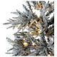 Albero di Natale 210 cm verde floccato Snowy Nordman 450 led s3