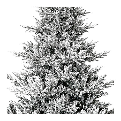 Flocked Snowy Nordman Christmas tree, 180 cm, green poly 2