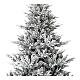 Flocked Snowy Nordman Christmas tree, 210 cm, green pvc s2