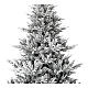 Albero di Natale Snowy Nordman 210 cm verde floccato s2