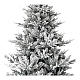 Flocked Snowy Nordman Christmas tree, 270 cm, green pvc s2