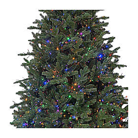 Grüner Weihnachtsbaum poly Princeton 1900 LED, 180 cm