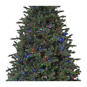 Árbol de Navidad verde 225 cm 3300 led Princeton poly