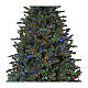 Árbol de Navidad verde 225 cm 3300 led Princeton poly s2