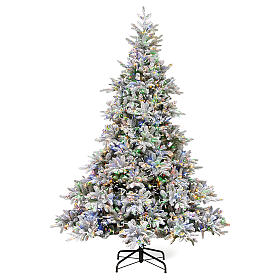 Andorra poly beflockt grüner Weihnachtsbaum 2400 LEDs, 180 cm