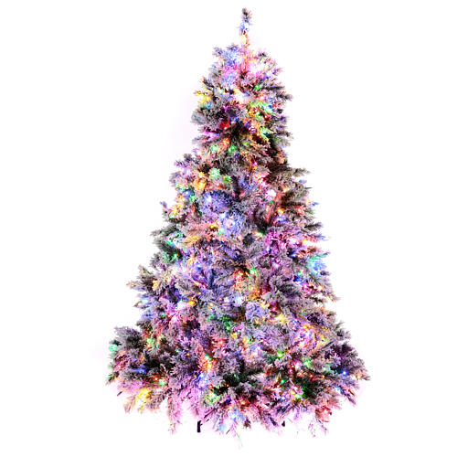 Grüner beflockter Weihnachtsbaum Snowy Seneca mit 2300 LEDs, 240 cm 4