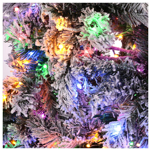 Snowy Seneca flocked Christmas Tree, green, 240 cm, 2300 LED 9