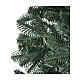Christmas tree slim Adamello Moranduzzo 210 cm green real touch s2