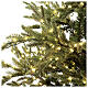 Christmas tree of the 5th Avenue with 2000 warm white nanoLED lights 180 cm green poly feel real s4