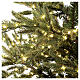 Christmas tree of the 5th Avenue with 3000 warm white nanoLED lights 210 cm green poly feel real s4