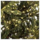 Christmas tree of the 5th Avenue with 4000 warm white nanoLED lights 240 cm green poly feel real s3