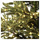 Christmas tree of the 5th Avenue with 4000 warm white nanoLED lights 240 cm green poly feel real s4