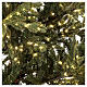 Sapin de Noël 5ème Avenue 4000 nanoLEDs blanc chaud 240 cm vert poly feel real s3