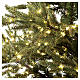 Sapin de Noël 5ème Avenue 4000 nanoLEDs blanc chaud 240 cm vert poly feel real s4