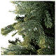 Weihnachtsbaum Tanne Poly Cumberland grün, 180 cm s3