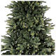 Albero di Natale Poly Cumberland Fir 180 cm verde s2