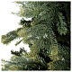 Albero di Natale 210 cm verde Poly Cumberland Fir s3