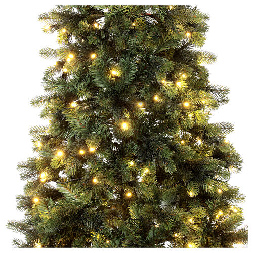 Monte Cimone lighted tree with Moranduzzo green real touch 210 cm 2