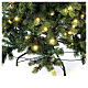 Monte Cimone lighted tree with Moranduzzo green real touch 210 cm s5