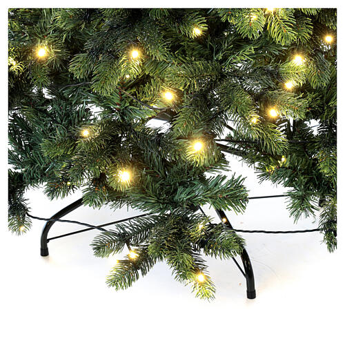 Monte Cimone Baum Moranduzzo real touch, 240 cm 5