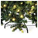 Monte Cimone Baum Moranduzzo real touch, 240 cm s5