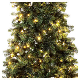 Árbol Monte Cimone luces Moranduzzo real touch 240 cm