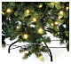 Albero Monte Cimone luci Moranduzzo real touch 240 cm s5