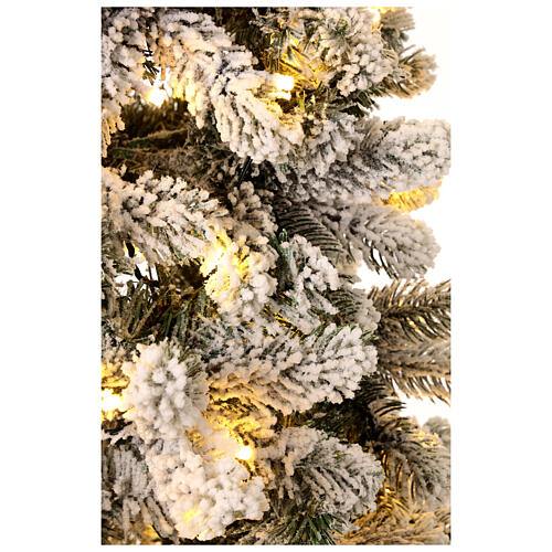 Snowy Monte Cimone Christmas tree by Moranduzzo with lights, real touch finish, 210 cm 2