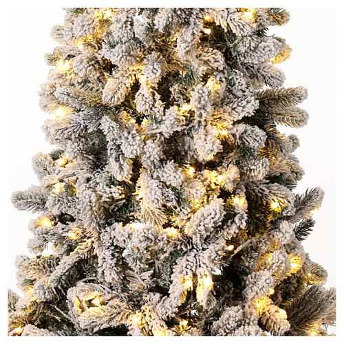 Árbol Monte Cimone nevado luces Moranduzzo real touch 210 cm 6