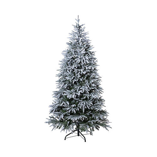 Sapin de Noël Gran Paradiso real touch Moranduzzo 210 cm 1