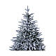 Sapin de Noël Gran Paradiso real touch Moranduzzo 210 cm s3