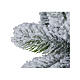 Albero di Natale Gran Paradiso real touch Moranduzzo 210 cm s2