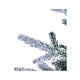 Albero di Natale Gran Paradiso real touch Moranduzzo 210 cm s4