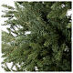 Everest Christmas tree by Moranduzzo, total real touch, 210 cm s2