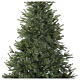 Everest Christmas tree by Moranduzzo, total real touch, 210 cm s3