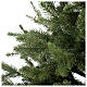 Albero di Natale Everest real touch Moranduzzo 180 cm s4