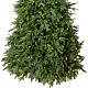 Everest Weihnachtsbaum poly feel echte Lichter Moranduzzo, 210 cm s3