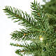Everest Weihnachtsbaum poly feel echte Lichter Moranduzzo, 210 cm s4