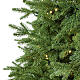 Sapin de Noël Everest Moranduzzo total real touch avec éclairage 210 cm s2